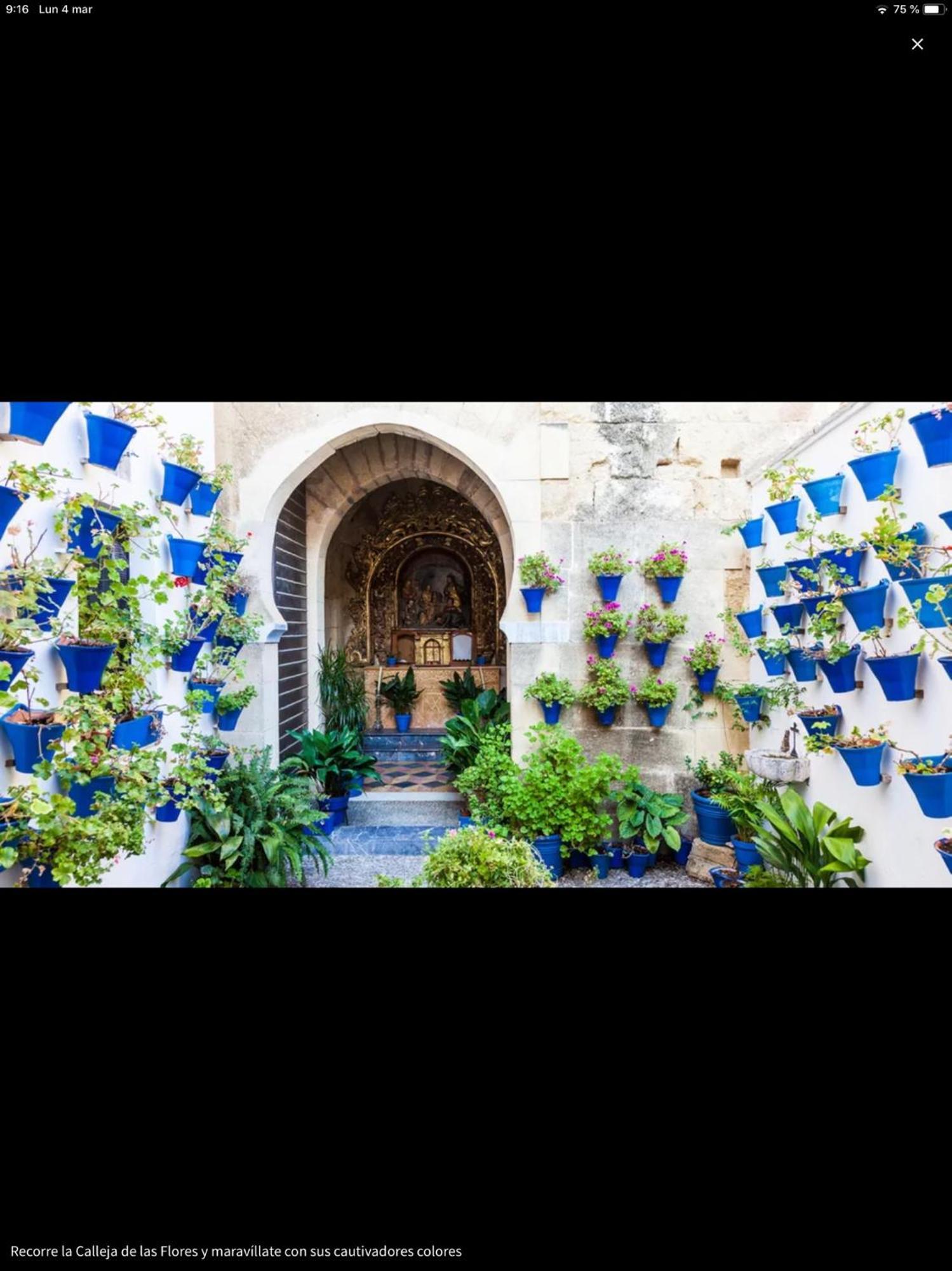 Centro Historico Mezquita Juderia La Preferida Apartment กอร์โดบา ภายนอก รูปภาพ